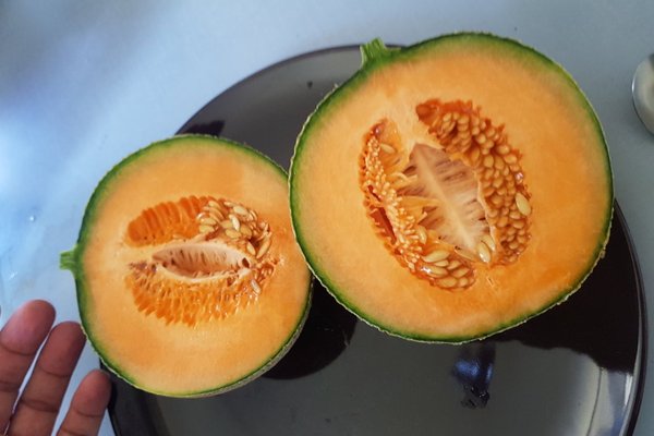 Melon type charentais GRTA /piece