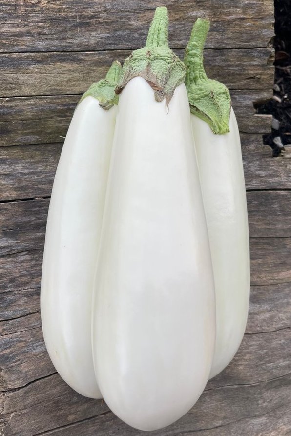 Aubergine blanche GRTA /kg